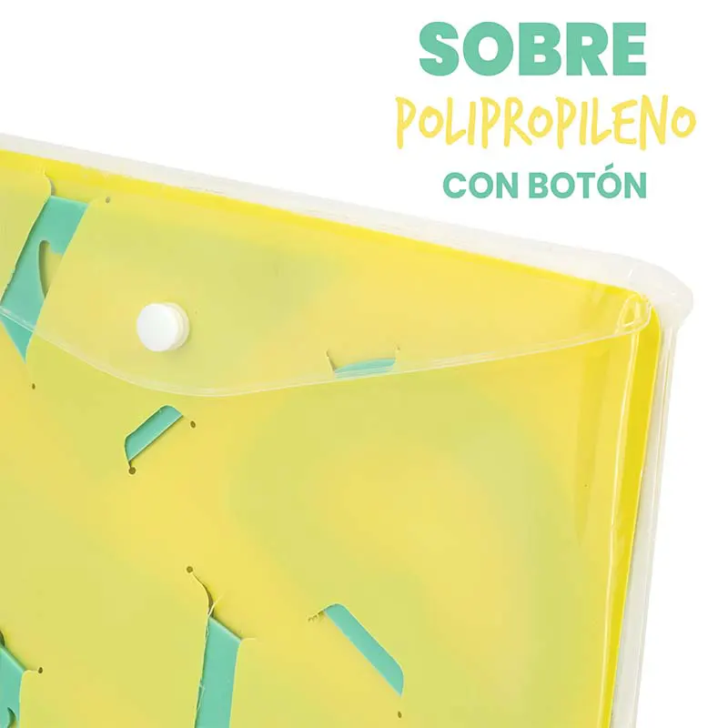 set de regla escolar